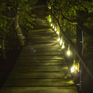 Bridge with lamps | Mumush World