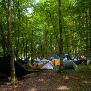 camping | Mumush World